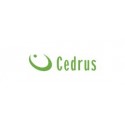 Cedrus